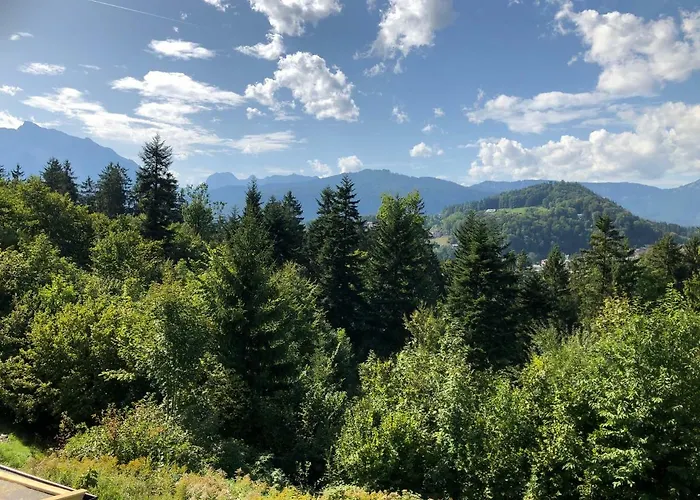 Waldkauz Daire *