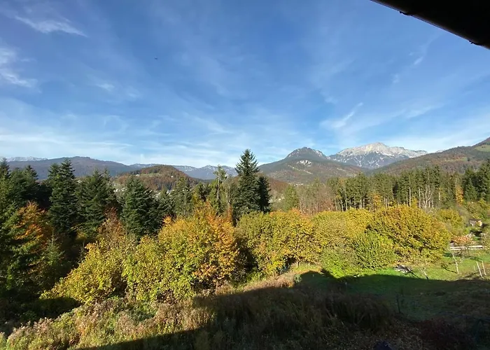 Waldkauz * Berchtesgaden