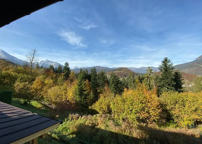 Waldkauz Daire