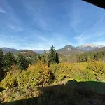 Waldkauz * Berchtesgaden