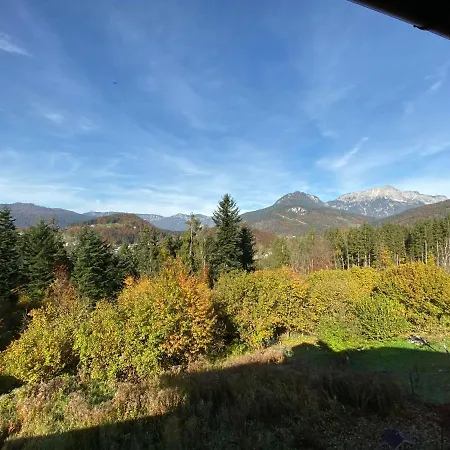 Waldkauz * Berchtesgaden